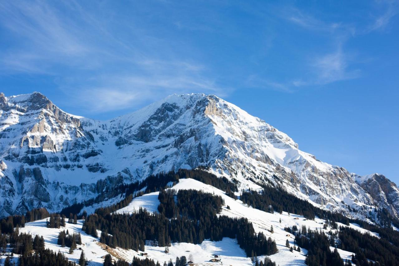 Hotel Chalet-hotel Beau-site Adelboden