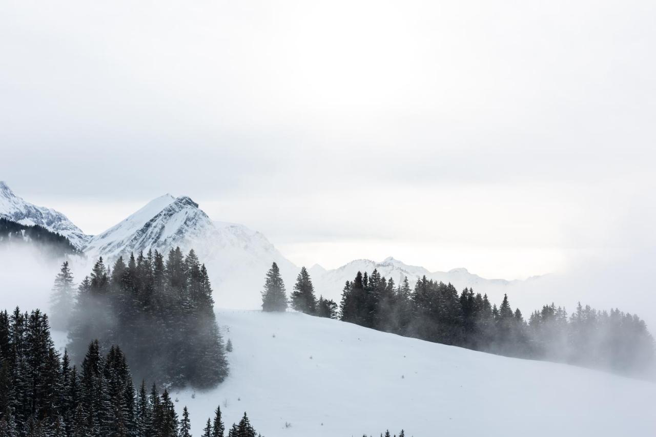 Chalet-hotel Beau-site 4*